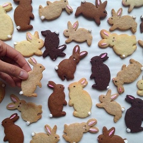 Weekend Roundup - Say Yes Easter Bunny Cookies, Biscuit Bake, Easter Baking, Bunny Cookies, Easter Inspiration, Dessert Bar, Easter Time, Easter Cookies, Cute Cookies