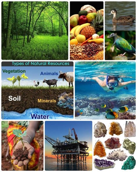 Natural resources inspired research board Natural Resources Pictures For Project, Natural Resources Pictures, Types Of Natural Resources, Research Board, Alphabet Worksheets Kindergarten, Worksheets Kindergarten, Study Tips For Students, Fashion Designing, Alphabet Worksheets