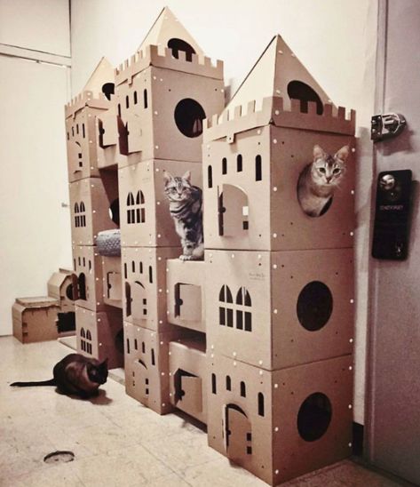 Chien Jack Russel, Cardboard Forts, Katt Grejer, Cardboard Cat House, Cat Castle, Cardboard Castle, Cat House Diy, Diy Cat Toys, Cat Tanks