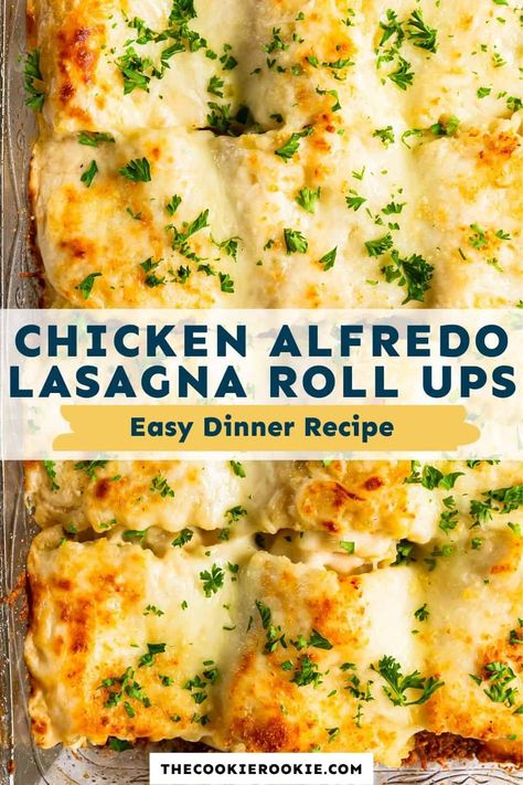 Chicken Spinach Lasagna Rolls, Recipes With Lasagna Noodles Roll Ups, Lasagna Rolls Alfredo, Thanksgiving Lasagna Recipe, Chicken Alfredo Roll Ups, Chicken Alfredo Lasagna Roll Ups, Alfredo Lasagna Rolls, Alfredo Lasagna Roll Ups, Chicken Lasagna Roll Ups