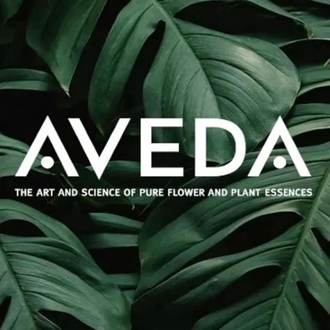 As founders of Seren, we've loved Aveda for years and we are proud to share it with you. Aveda is a haircare brand that truly delivers. When you try their elegantly scented products, you can actually feel the difference. Your hair, no matter the type, color, dyed or natural, feels so much healthier and fuller. Aveda is a vegan brand with formulas 90% derived from natural ingredients. Plus, they were the first beauty company to use 100% post-consumer recycled PET, helping to fight global... Beauty Companies, Vegan Brands, Hd Movies, You Tried, Natural Ingredients, Hair Care, Matter, Pure Products, Share It