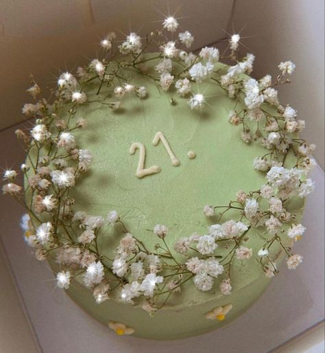 March Birthday Party Ideas, Sage Green Cake, 21st Bday Cake, Comic Cake, Green Birthday Cakes, Amazing Cake Decorating, Birthday Cake Roses, 21st Bday Ideas, Happy Birthday Decor