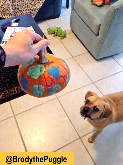 Paw Print Pumpkin Painting Dog Paw Print Art Pumpkin, Cat Paw Print Art, Paw Print Art Diy, Paw Print Pumpkin, Dog Paw Print Craft, Dog Paw Art, Paw Print Crafts, Dog Paw Print Art, Dog Daycare Business