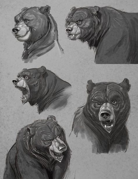 Character-Art-Bear-Expression-Study-Aaron-Blaise Bear Character Design, Aaron Blaise, Bear Drawing, Bear Character, Animal Study, Sketch Style, Concept Art Character, Concept Art Drawing, Poses References