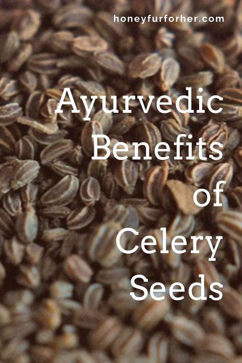 Benefits Of Celery, Postpartum Diet, Ayurveda Life, Ayurvedic Oil, Celery Seed, Herbs For Health, Healing Herbs, Natural Supplements, Medicinal Herbs