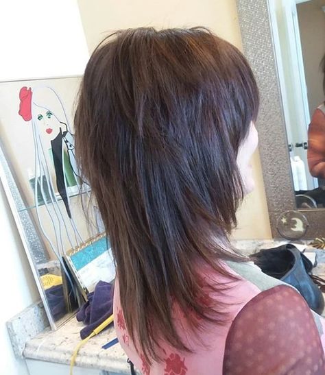 Short Choppy Haircuts Grunge, Emo Layers Haircut, Scene Hair Back View, Long Vkei Hair, 80s Medium Length Hairstyles, Haircuts 2000s, Shag Haircut Back View, Emo Hair 2000s, Modern Emo Hair