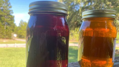 What’s the deal with NC’s purple honey + where to find it | Raleigh News & Observer Purple Honey, 2024 Diary, Honey Uses, Blue Honey, Sno Cones, Coastal Plain, Golden Honey, Food Preservation, Japanese Flowers