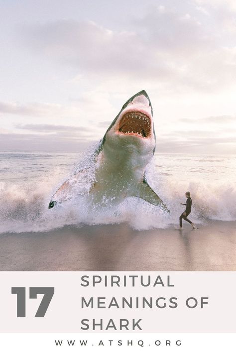 17 Spiritual Meanings Of Shark Shark And Dolphin Tattoo, What To Do With Shark Teeth, Whale Shark Tattoo Meaning, Unique Shark Tattoo, Shark Symbolism, Great White Shark Tattoo, Shark Meaning, Shark Tattoo Meaning, Shark Quotes