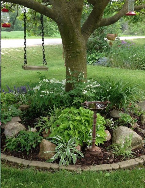 Plants Under Trees, Landscaping Around Trees, Front Yard Design, Landscape Edging, Magnolia Trees, Have Inspiration, Fall Outdoor Decor, Landscaping Tips, Yard Design