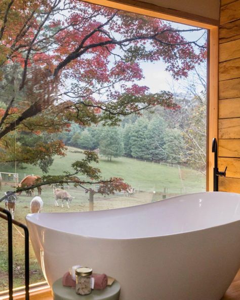 The perfect weekend getaway awaits at the serene Nurture Creek in Monbulk—a charming hobby farm offering the ultimate escape.   Reconnect with nature and enjoy an eco-friendly, luxurious farm stay with Equine Connection sessions, where the healing power of horses and nature awaits.   Imagine unwinding in this bathtub with views of grazing horses—pure bliss! 🛁🐎  #YarraValley #YarraValleyLife #YarraValleyViews #YarraValleyNature #YarraValleyBeauty #YarraValleyCommunity Farm Retreat, Yarra Valley, Farm Stay, Stay Inspired, Hobby Farms, Healing Powers, Special Places, Weekend Getaways, Eco Friendly