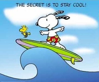 The secret is to stay cool Woodstock Snoopy, Flying Ace, Peanuts Cartoon, Peanuts Characters, Snoopy Quotes, Snoop Dog, Joe Cool, Snoopy Love, Charlie Brown Peanuts