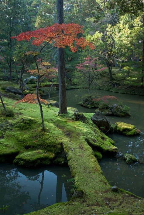 Saiho-ji Zen Garden in Kyoto Japan: A pink photoshopped version of a similar pictures is making it's way around the web with the caption Bridge Park Ireland. Description from pinterest.com. I searched for this on bing.com/images Japanese Garden Ornaments, Moss Covered, Moss Garden, Japanese Gardens, Kyoto Japan, Futurism, Alam Yang Indah, Garden Ornaments, Zen Garden