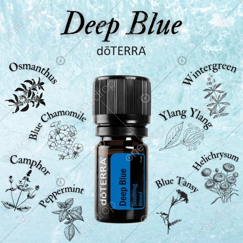 Deep Blue - English #deep blue #sore muscles #muscle tension #muscle pain #soothing blend #wellnessadvocate #doterra #wellnessstockphotos #onedropdesigns #doterrawellnessadvocate #doterratips #doterragraphics #doterraphotos Doterra Wintergreen, Doterra Deep Blue, Deep Blue Doterra, Doterra Wellness Advocate, Blue Tansy, Muscle Tension, Powerade Bottle, Muscle Pain, Sore Muscles