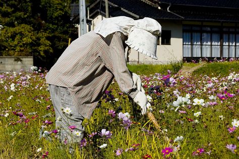 old farm scarecrow  Old Lady Scarecrow oh no! This is me! My neighbor would be calling the Sheriff to come help me straighten up! Garden Scarecrow Ideas, Lady Scarecrow, Garden Scarecrow, Scarecrow Ideas, Scarecrows For Garden, Diy Scarecrow, Pot Ideas, Garden Angels, Garden Whimsy