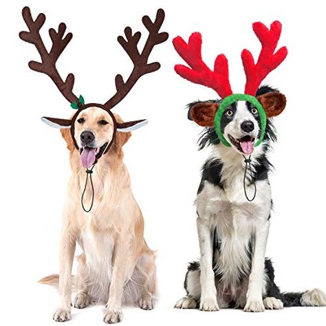 Pet Reindeer, Dog Christmas Costumes Diy, Reindeer Antlers Headband, Dog Lion Mane, Small Dog Costumes, Dog Reindeer Antlers, Pet Costumes Cat, Dog Antlers, Cute Small Dogs