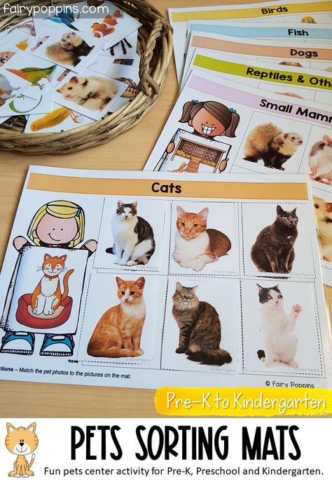 Pet Sorting Preschool, Preschool Pets Unit, Preschool Pets, Montessori Works, Pet Study, Science Center Preschool, Pet Activities, Creative Curriculum Preschool, Teaching Nonfiction