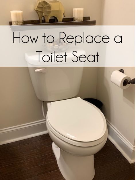 How to replace a toilet seat. Replacing Toilet, Vogue Decor, Replace Toilet, Cozy Cottage Kitchen, Newborn Schedule, Sanitary Towels, Classy Business Outfits, Too Loud, New Toilet