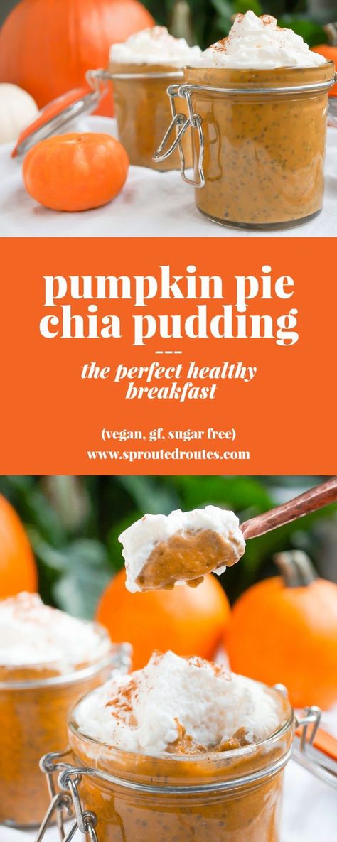 Pumpkin Pie Chia Pudding (Gluten Free, Vegan, Paleo, Refined Sugar Free) | Liz Moody Pumpkin Pie Chia Pudding, Chia Pudding Recipe, Perfect Healthy Breakfast, Chia Seed Recipes, Seed Recipes, Chia Pudding Recipes, Desserts Vegan, Low Carb Pizza, Pumpkin Pie Filling