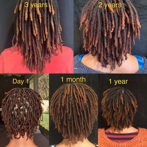 From Day 1 to 3 years : Dreadlocks Types Of Dreadlocks, How To Grow Dreadlocks, Dreadlocks Hair Care, Afro Punk Fashion, Beautiful Dreadlocks, Short Locs Hairstyles, Dread Hairstyles, Corte De Cabelo Masculino, Dreadlock Hairstyles