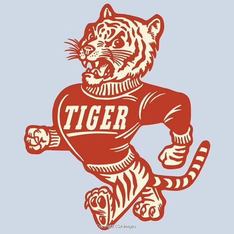 Sailor Logo, Tiger Mascot, Tiger Team, Cartoon Tiger, Vintage Tiger, Fashion Design Template, Sports Graphic Design, Graphic Tshirt Design, Vintage Graphic Design