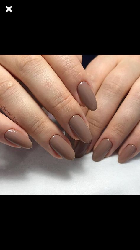 Nail Paint Shades, Brown Nail, Beige Nails, Simple Gel Nails, Minimal Nails, Casual Nails, Classy Acrylic Nails, Soft Nails, Acrylic Nails Coffin Short