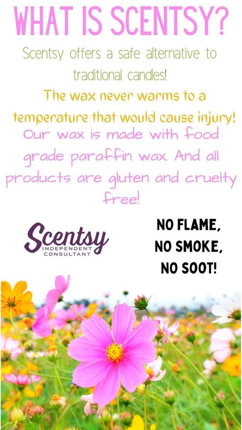 Scentsy Spring Summer 2023, What Is Scentsy, Scentsy Consultant Marketing, Scentsy Banner, Scentsy Pictures, Scentsy Uk, Scentsy Marketing, Scentsy Consultant Ideas, Scentsy Business