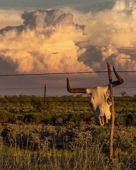 Alpine Texas, Location Design, Austin Real Estate, Dust Bowl, Travel Diaries, South Texas, Western Homes, Great Plains, West Texas