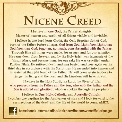 Nicene Creed….. Nicene Creed Catholic, Catholic Traditions, Nicene Creed, Catholic Theology, Catholic Answers, Holy Holy, Catholic Beliefs, Apostles Creed, Faith Formation