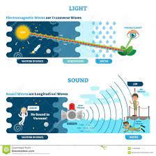 Longitudinal And Transverse Wave Type, Vector Illustration Scientific Diagram. Sonic And Visual Perception Principle. Stock Vector - Illustration of pattern, light: 112486262 Transverse Wave, Longitudinal Wave, Types Of Waves, Physics Lessons, Middle School Science Experiments, Physics Formulas, Physics Notes, Scientific Diagram, Physics And Mathematics