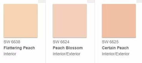 Sherwin Williams Flattering Peach SW 6638 Paint Color - Interiors By Color Peach Paint Colors, Orange Paint Colors, Sherwin Williams Extra White, Peach Paint, Bath Paint, Sherwin Williams Paint Colors, Orange Paint, Peach Blossom, Peach Blossoms