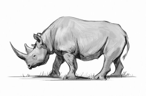 Learn to draw course – GVAAT'S WORKSHOP Rhino Sketch, Rhinoceros Drawing, Drawing The Human Head, How To Draw Anything, Drawing Course, Art Advice, Animal Doodles, Sketch Inspiration, Drawing Practice