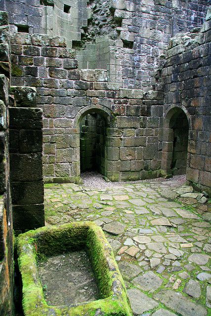 Hermitage Castle. Roxburghshire in the Scottish Borders, Scotland. Hermitage Castle, Old Castle, Famous Castles, Castle Scotland, Scotland Castles, Abandoned Castles, Scottish Castles, Castle Ruins, Old Stone