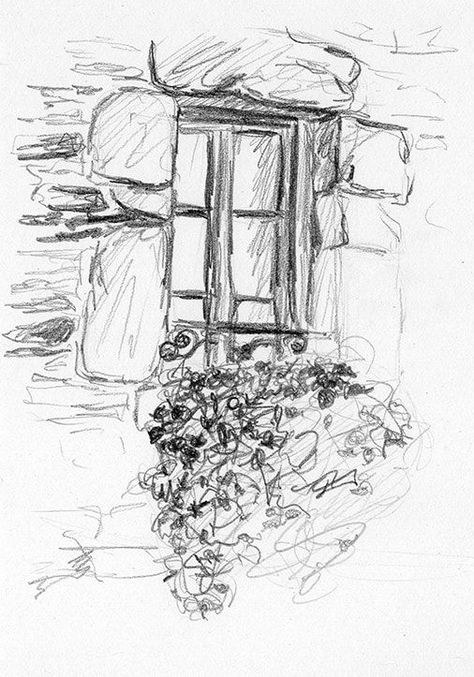 Window drawing with plants as part of the Sketching Project Still Life topic. Window Drawing, Landscaping Garden, Nature Drawing, Arte Sketchbook, Pencil Art Drawings, Art Drawings Sketches Creative, Drawing Skills, Art Drawings Sketches Simple, Cool Art Drawings