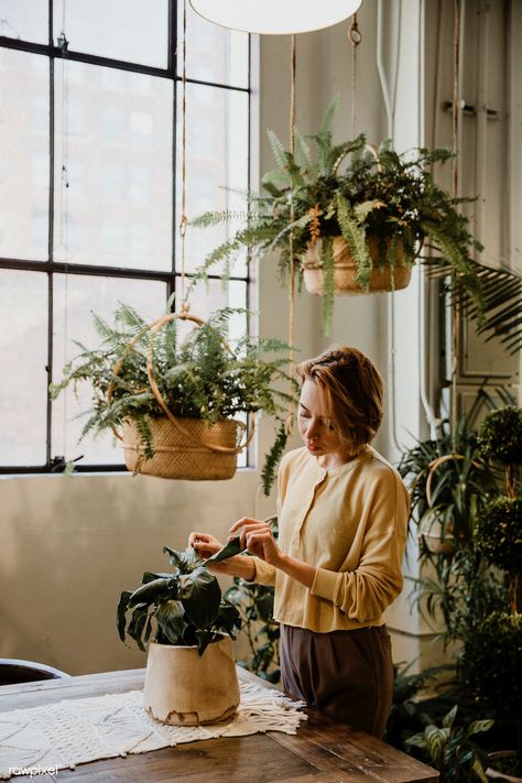 Woman taking care of her plants in a glasshouse | premium image by rawpixel.com / McKinsey Pine Nut Salad, Nut Salad, Tattoo Plant, Pine Nut, Delicious Magazine, Florist Shop, Plant Photography, Plant Aesthetic, Grilled Salmon