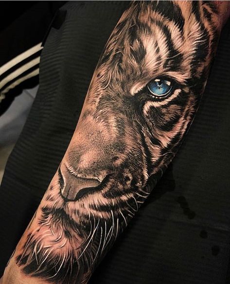 Tiger Forearm Tattoo, Tattoos Tiger, Trend Tattoo, Forearm Cover Up Tattoos, Tiger Eyes Tattoo, Tiger Face Tattoo, Tiger Tattoo Sleeve, Animal Sleeve Tattoo, Lion Tattoo Sleeves