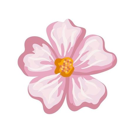 Flower Pedals Drawings, Digital Flower Drawing, Cartoon Flowers Drawing, Pink Flower Icon, Design Flower Drawing, Pink Symbols, Aesthetic Flower Drawing, Pink Doodles, Flower Animation