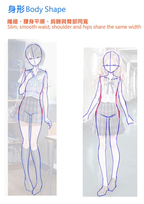 Shoulder Drawing Tutorial, Anime Porpotion Drawing, How To Draw Anime Body Base Female, Shoulder Proportions, Anime Proportions, Shoulder Drawing, Waist Reference, Waist Drawing, Anime Shoulder