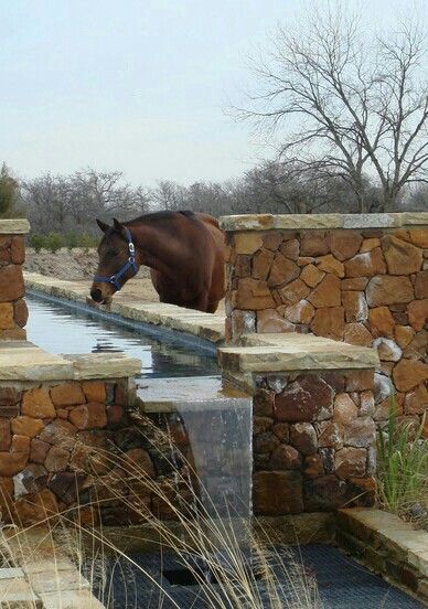 Very cool watering trough! Horse Water Trough Ideas, Casita Exterior, Cow Trough, Paradise Paddock, Horse Water Trough, Pig Trough, Covered Riding Arena, Field Shelters, Horse Trough