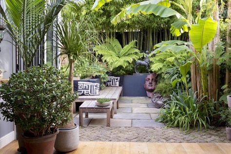 Tropical plants love London’s microclimate and can survive city winters. Here's how to create your own urban mini-jungle. Tropical Courtyard, Garden Ideas Uk, Small Tropical Gardens, Hampton Court Flower Show, Small Urban Garden, Small City Garden, Tropical Garden Ideas, Small Courtyard, Tropical Garden Design