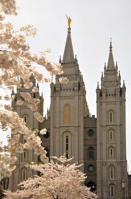 Salt lake temple with blossoming trees 2 | Ryan Houston | Flickr Lds Aesthetic, Lds Inspiration, Lds Temple Art, Lds Temple Pictures, Salt Lake City Temple, Church Aesthetic, Mormon Temples, Salt Lake Temple, Lake George Ny