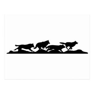 Running with wolves postcard Running With Wolves, Running Wolves, Coyote Drawing, Wolf Pack Tattoo, Coyote Tattoo, Running Drawing, Wolf Team, Wolf Running, Wolf Silhouette