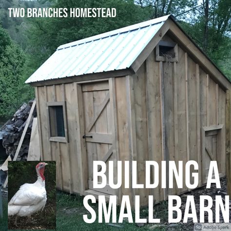 Small Animal Barn, Turkey Coop, Potbelly Pigs, Chicken Runs And Coop, Small Barns, Small Barn, Barn Ideas, Chicken Runs, Garage Shop