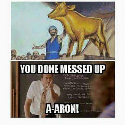 Golden calf "You done messed up, A-ARON!" Funny Church Memes, Bible Jokes, Jesus Meme, Jw Humor, Lds Memes, Catholic Humor, Church Humor, Christian Thoughts, Church Memes