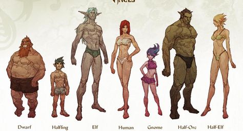 Different race's body proportions Dnd Races, Fantasy Races, Dungeons And Dragons Characters, D&d Dungeons And Dragons, Dnd Art, Arte Fantasy, Medieval Fantasy, Character Creation, Dnd Characters