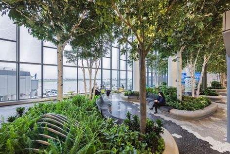 Multi Purpose Office Space, Multi Purpose Office, Laguardia Airport, Airports Terminal, Areas Verdes, Meeting Rooms, Rooftop Garden, Garden Buildings, Roof Garden