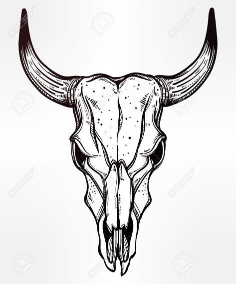 Longhorn Skull Art, Brahman Bull, Buffalo Tattoo, Bull Skull Tattoos, Bison Skull, Navajo Art, Tattoo Old School, Bull Tattoos, Buffalo Skull