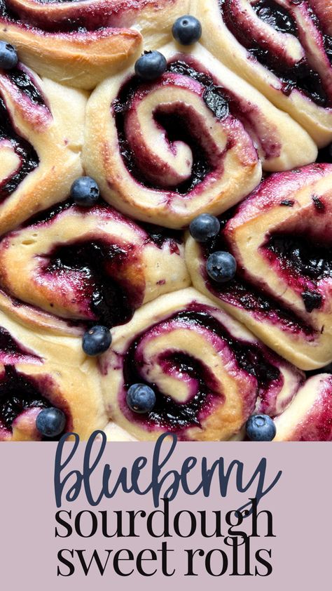 Made In Motherhood Sourdough, Sourdough Dessert, Blueberry Sourdough, Sourdough Bagel, Blueberry Sweet Rolls, Sourdough Ideas, Blueberry Cinnamon Rolls, Recipe Using Sourdough Starter, Sourdough Rolls