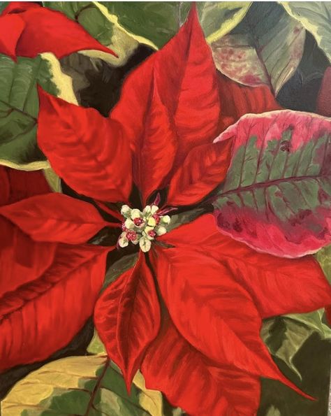 Pointsettia Paintings, Painting Poinsettias, Pointsetta Christmas, Winter Watercolors, Abstract Canvas Art Acrylics, Poinsettia Decor, Painted Christmas Cards, Watercolor Christmas Cards, Watercolor Flower Art