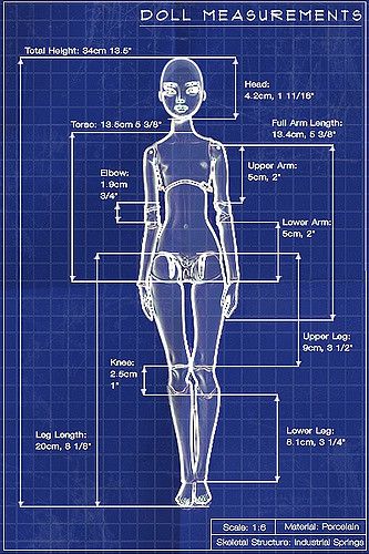 BJD-The lengths of the various parts of Marina's dolls. Doll Measurements, Art Doll Tutorial, Marina Bychkova, Sculpting Tutorials, Doll Making Tutorials, Enchanted Doll, Polymer Clay Dolls, Sculpting Clay, Doll Tutorial