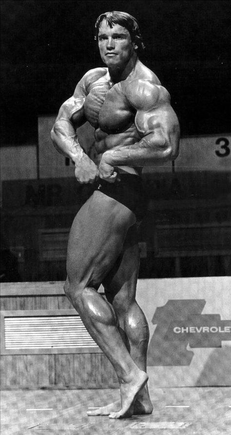 Arnold Schwarzenegger Old School Bodybuilding, Arnold Bodybuilding, Arnold Schwarzenegger Movies, Arnold Schwarzenegger Bodybuilding, Best Bodybuilder, Frank Zane, Schwarzenegger Bodybuilding, Bodybuilding Pictures, Personal Pictures